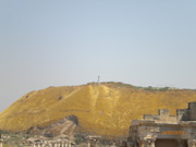 Arbre_sur_montagne_en_Galilee_2_(109).jpg