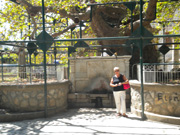 KOS_2010_080.jpg