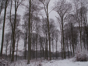 Note-24.jpg