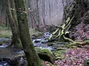 Note-Chapitre-4.jpg