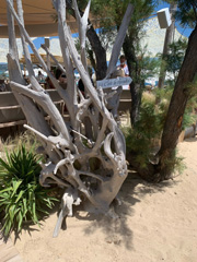 Sculpture_naturelle__de_larbre_mort_Cote_dAzurS.jpg